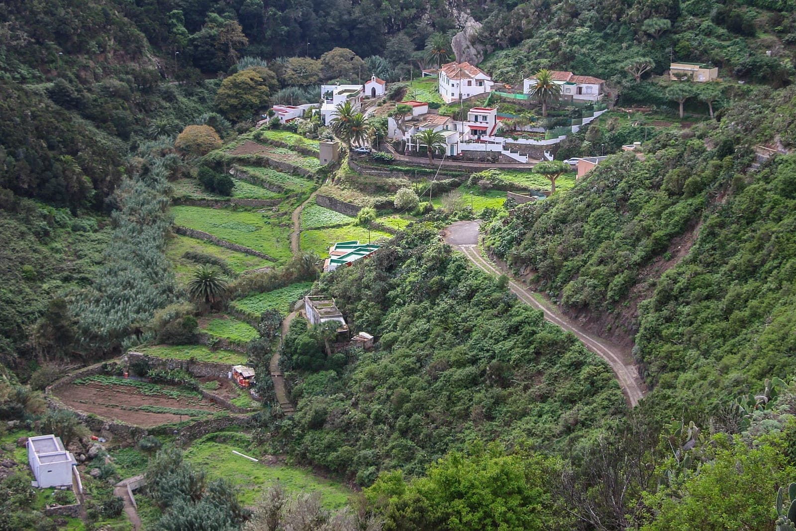 Chamorga