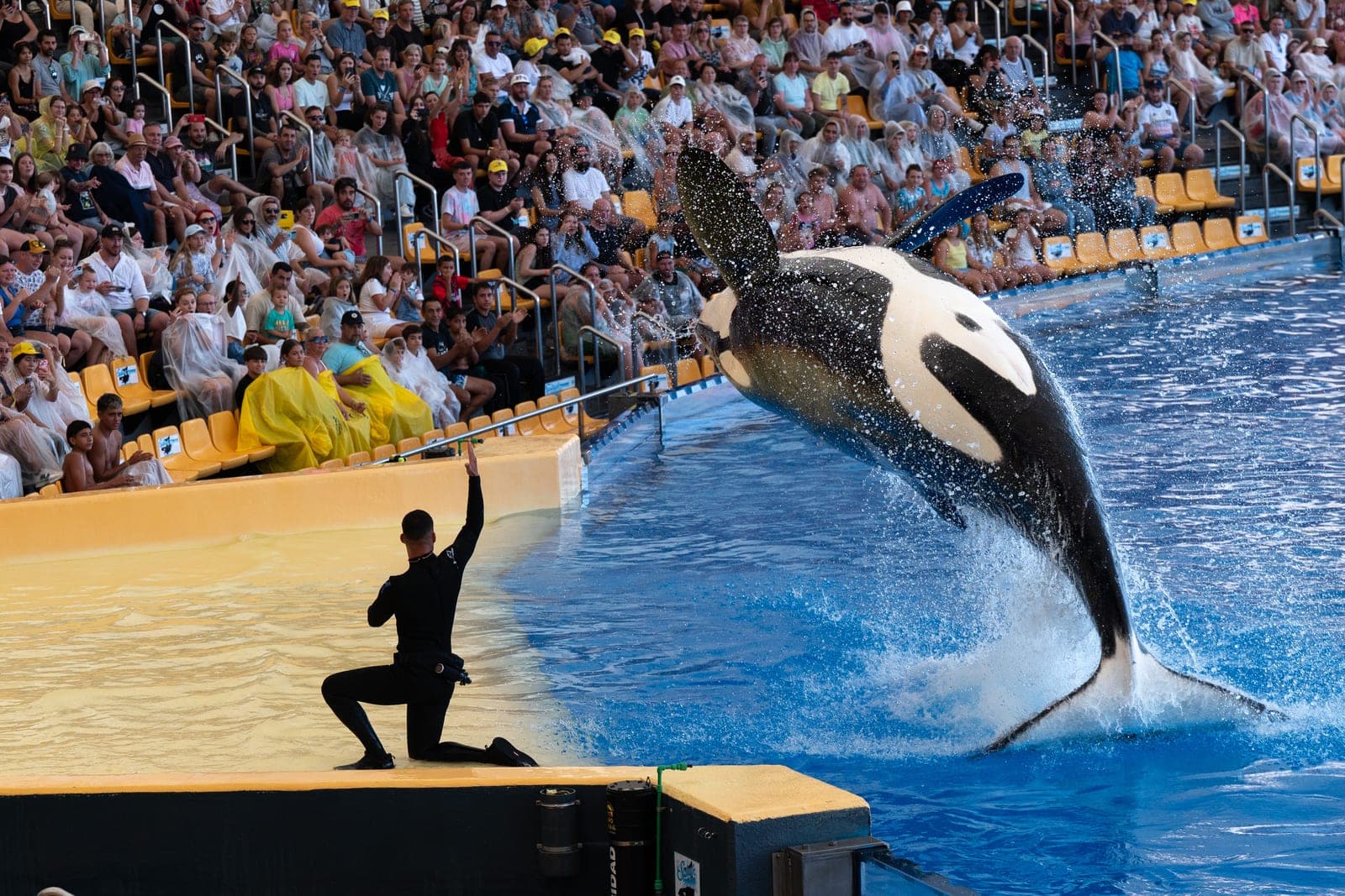 Loro Parque