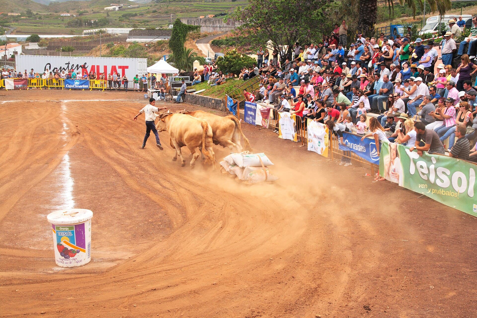 Festival of the Christ of La Laguna