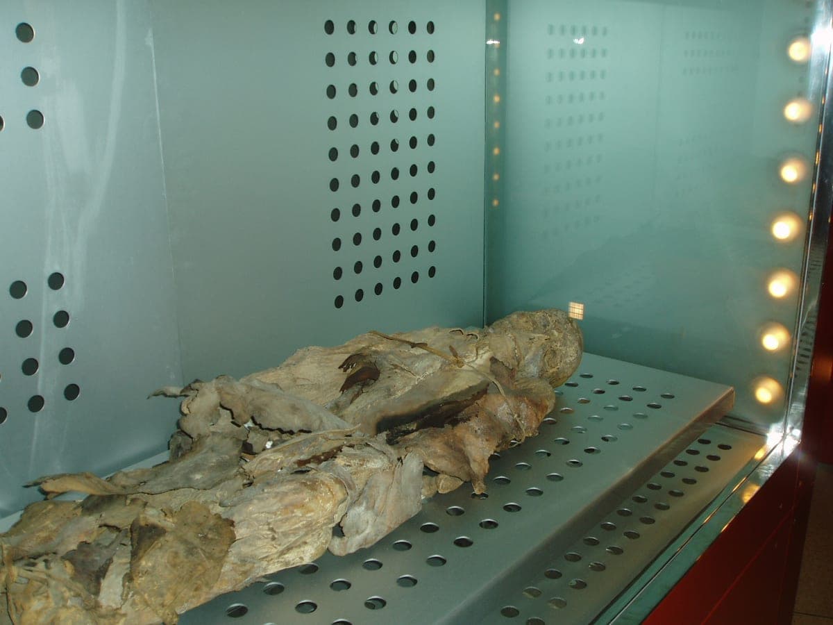 Momia guanche del Museo de la Naturaleza y el Hombre, Santa Cruz de Tenerife