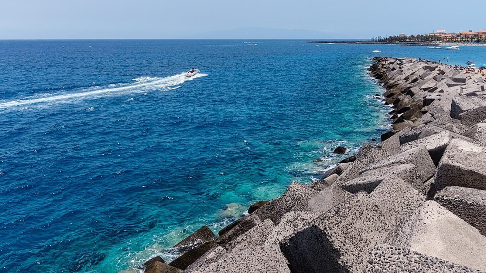 Los Cristianos y reserva de Guaza