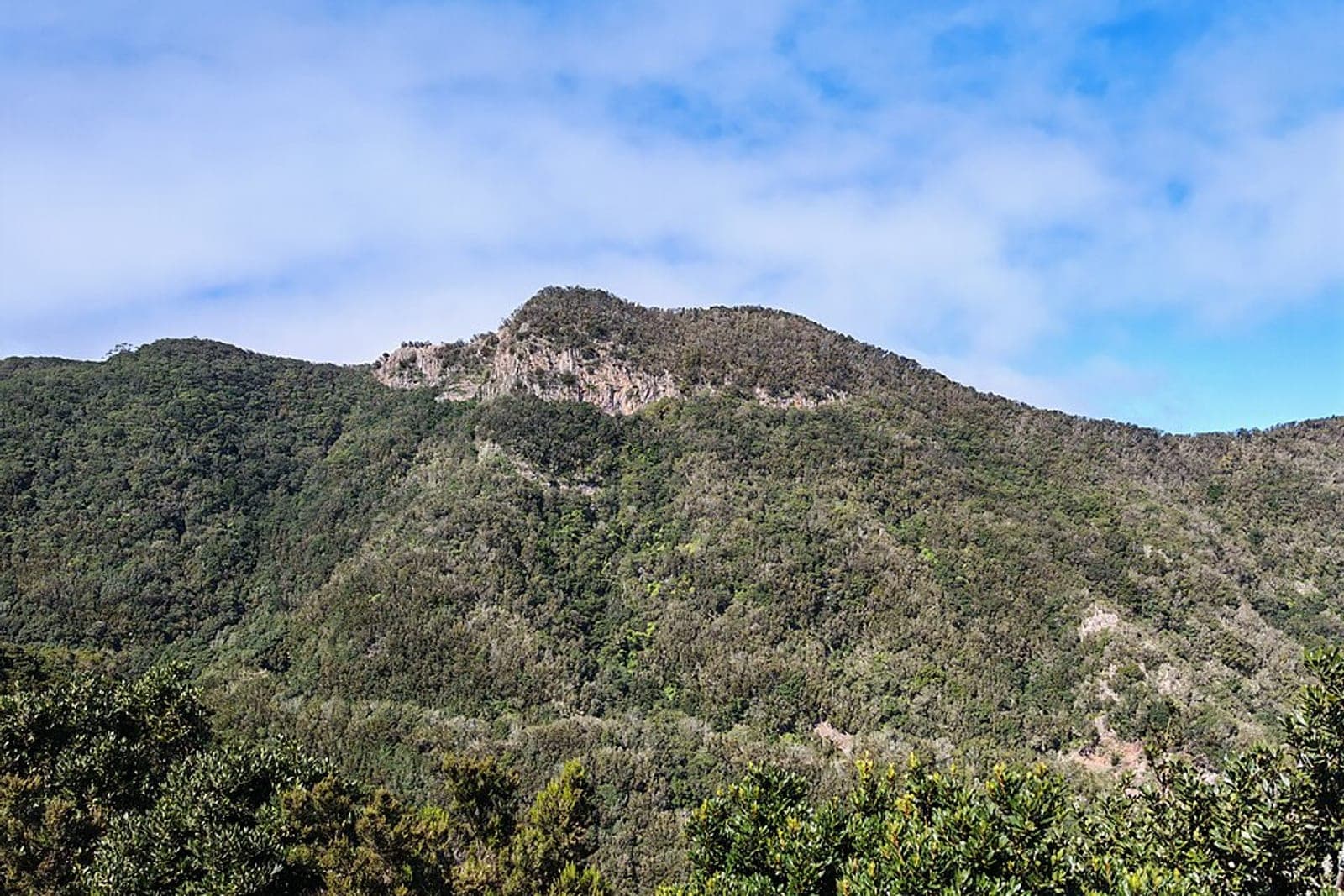 Retiro de Meditación en Anaga
