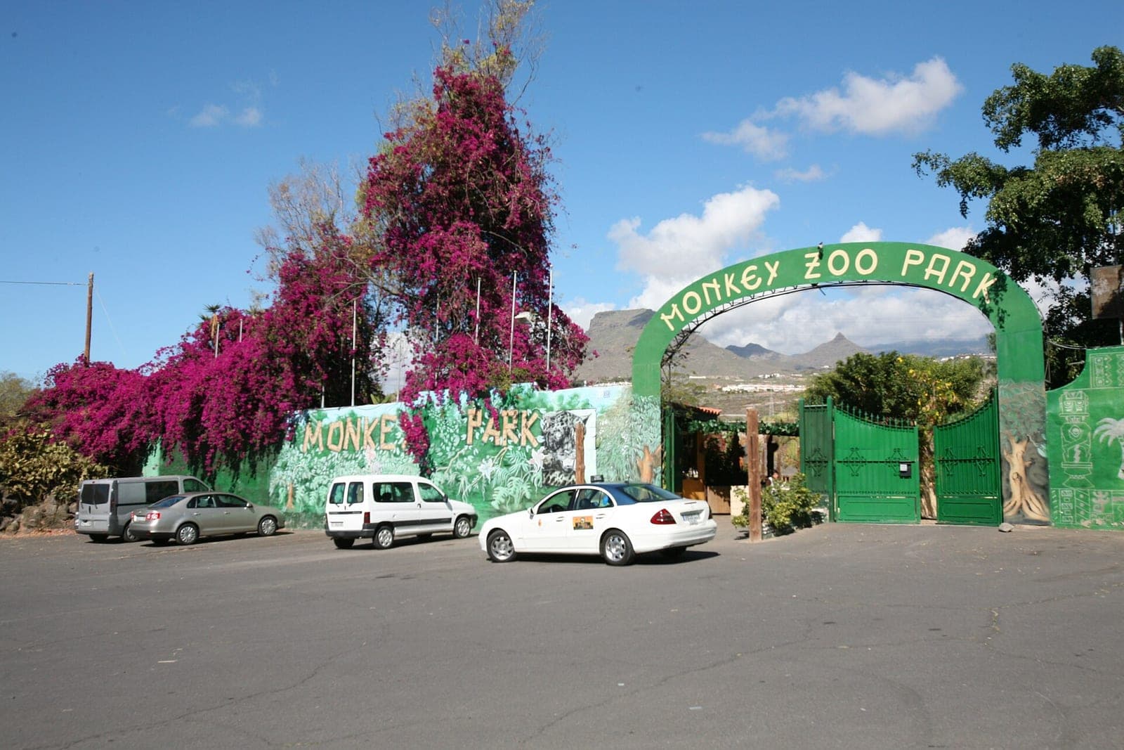 Monkey Park, Los Cristianos