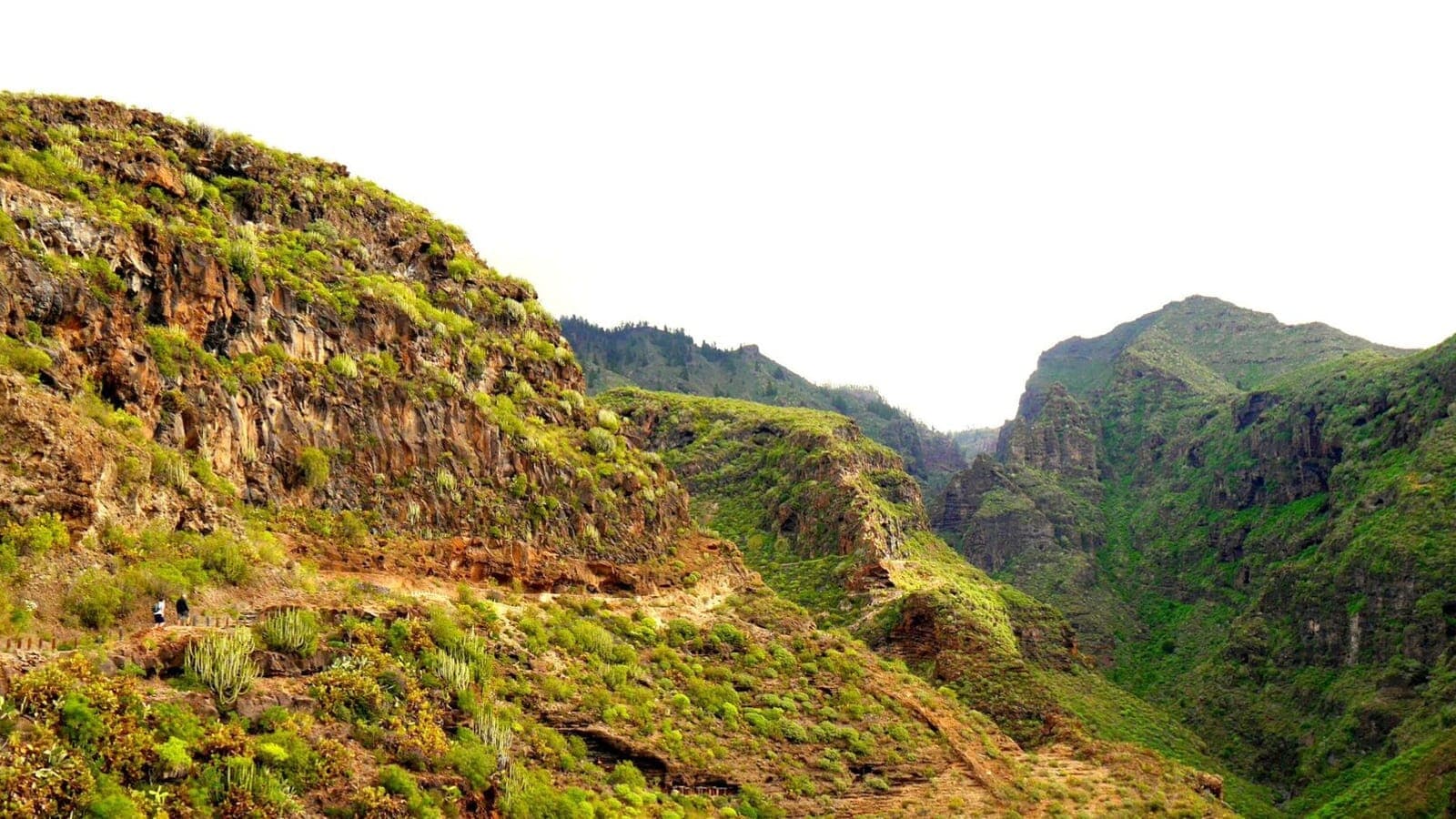 Reserva Natural Especial del Barranco del Infierno