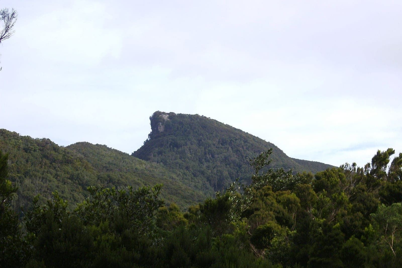 Sendero del Chinobre, Anaga