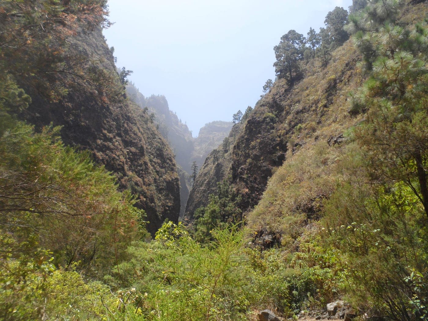Barranco de Añavingo