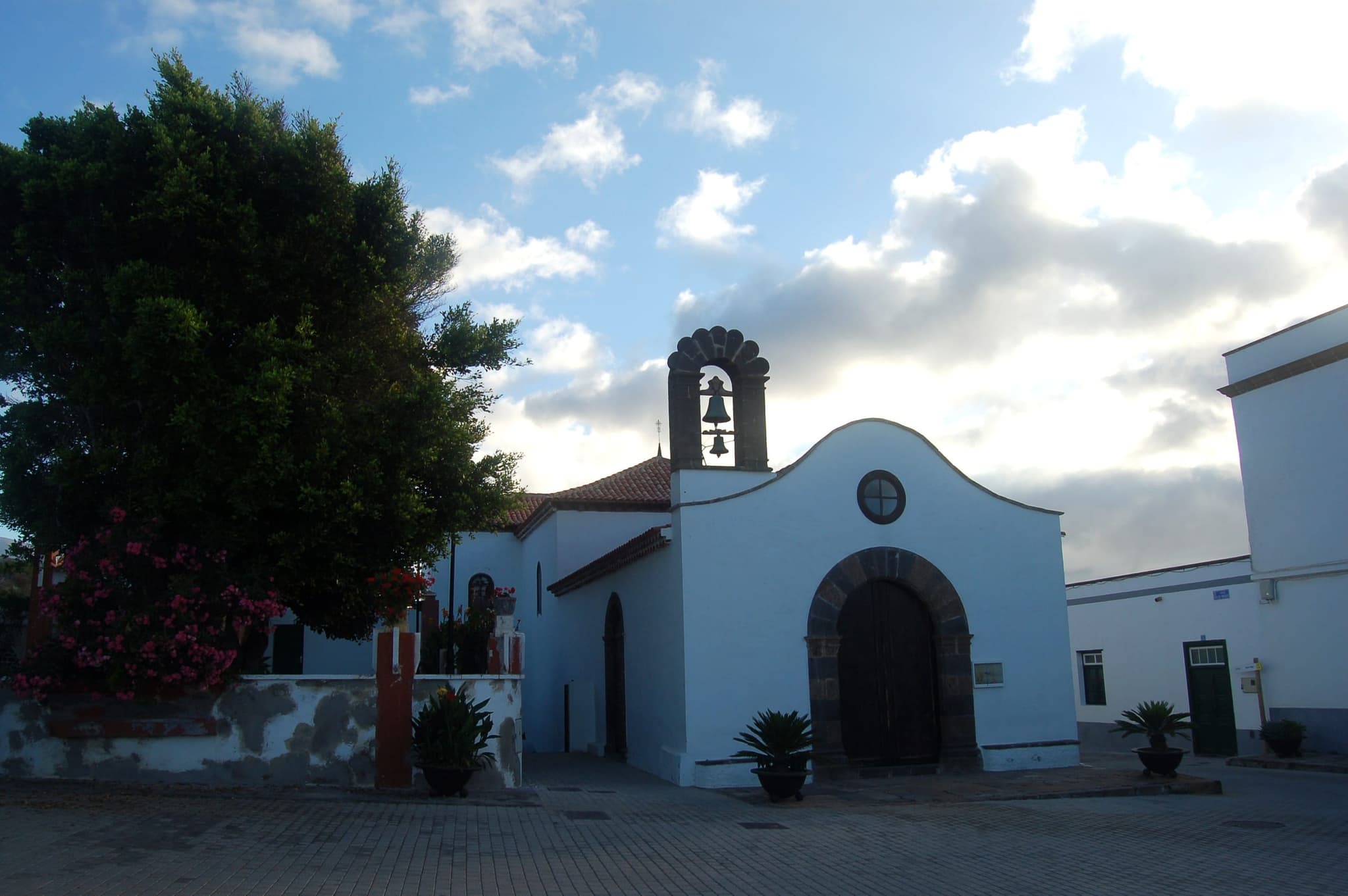 Arico