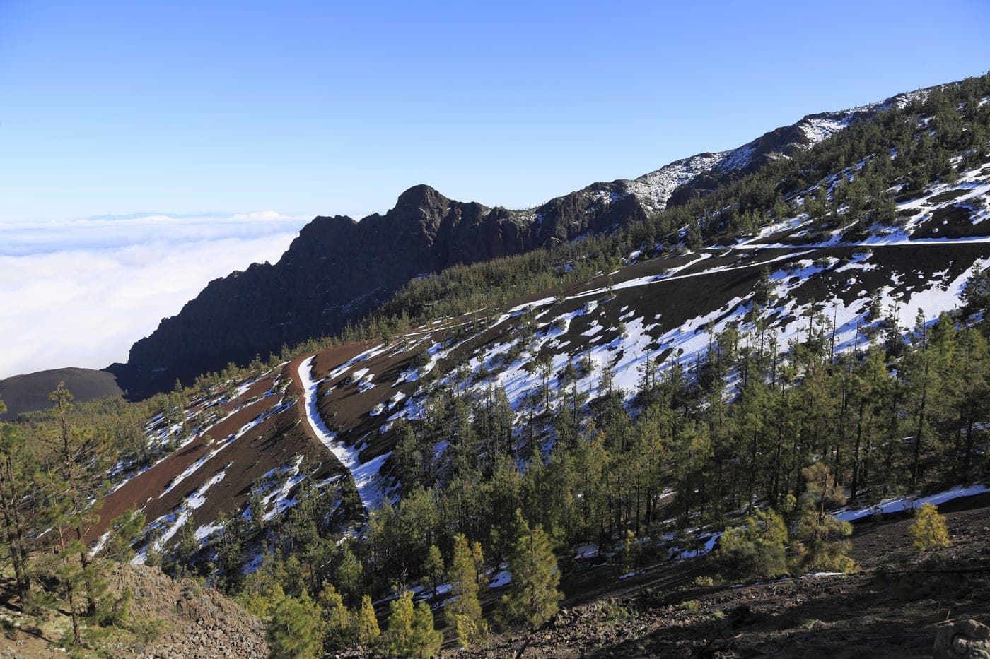 Camino Histórico de Candelaria