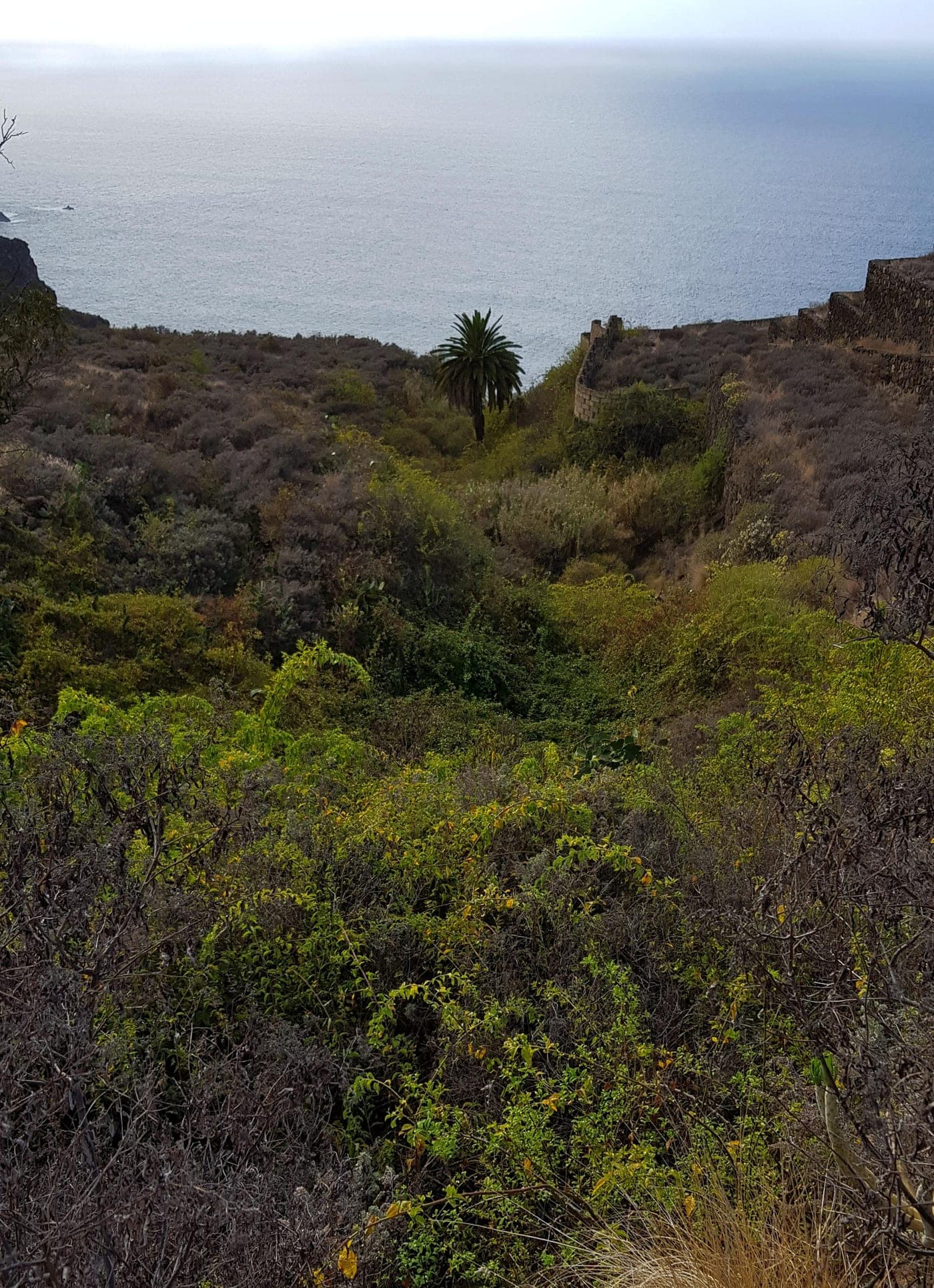 Barranco de Acentejo