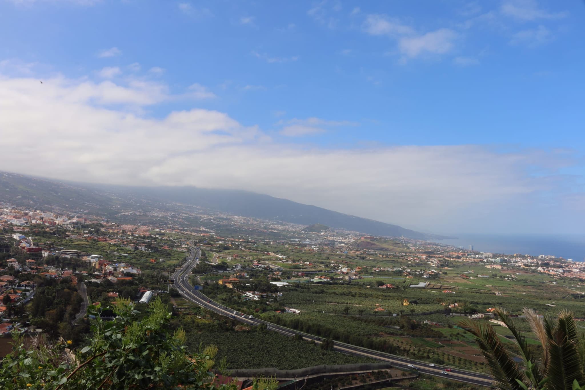 Santa Úrsula