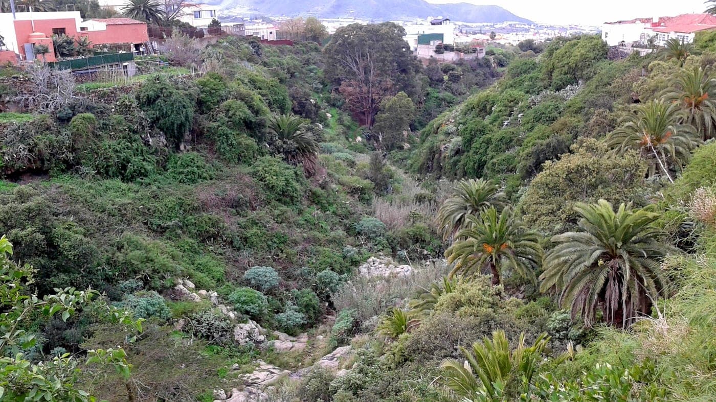 Barranco de Agua de Dios (yacimiento de Los Cabezazos)