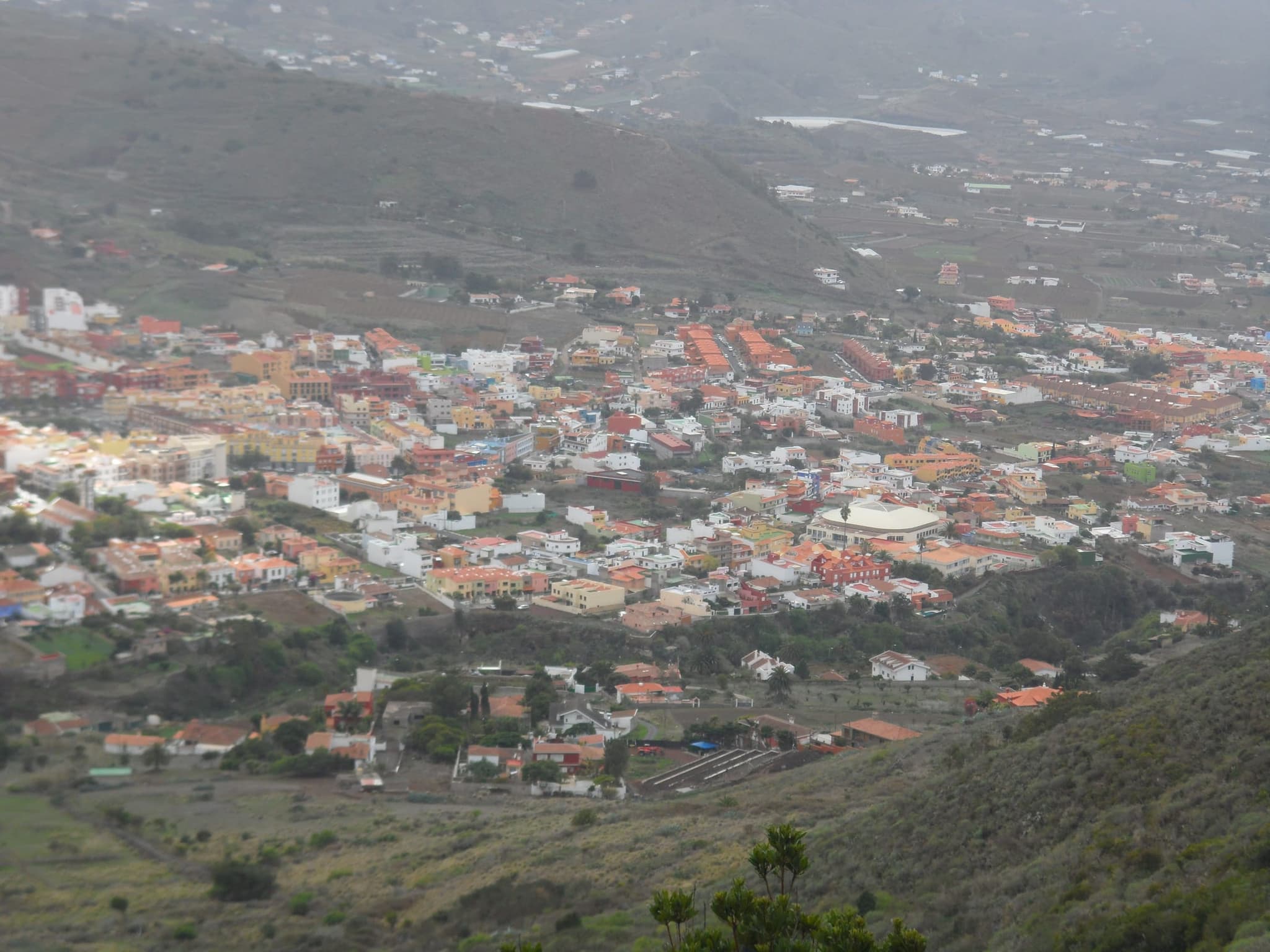 Viñedos de la D.O. Tacoronte-Acentejo